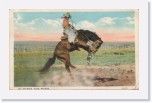1929postcard048 * Let 'er buck, Elko, Nevada (Jul 18, 1929) * 640 x 401 * (180KB)