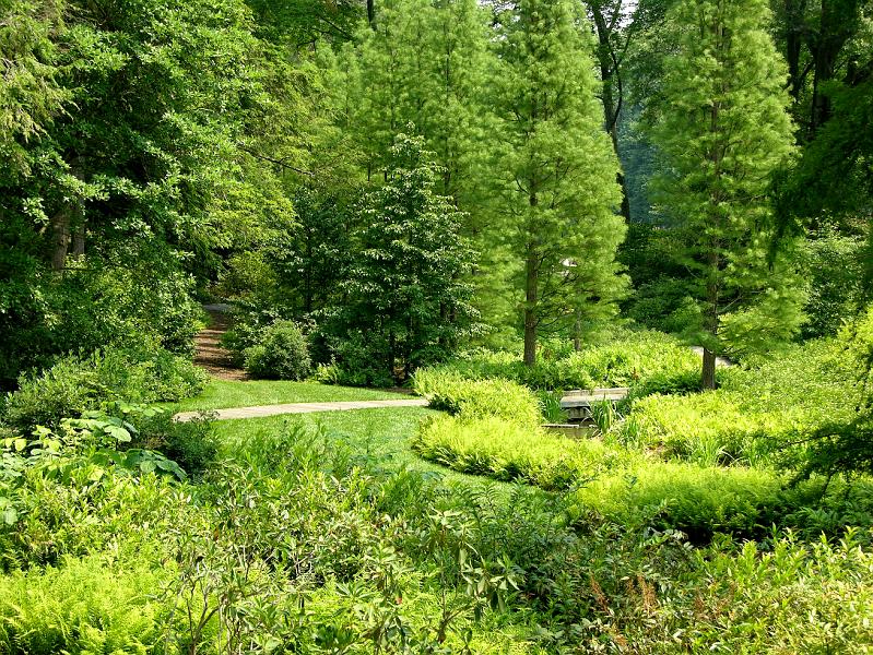 DSCN0349.JPG