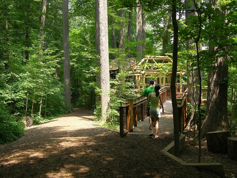 DSCN0384.JPG
