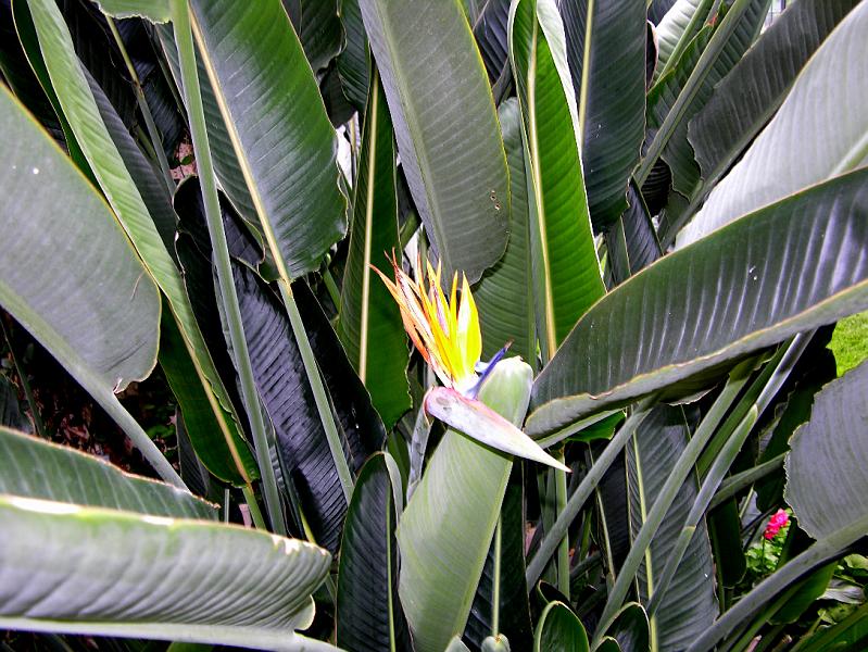DSCN0445.JPG
