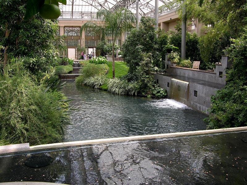 DSCN0452.JPG