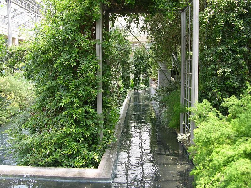 DSCN0455.JPG