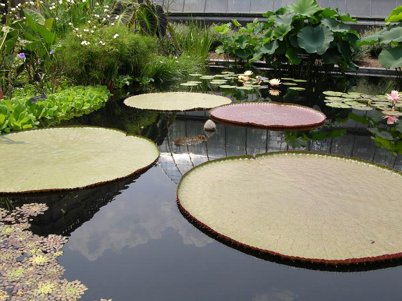 DSCN0491.JPG