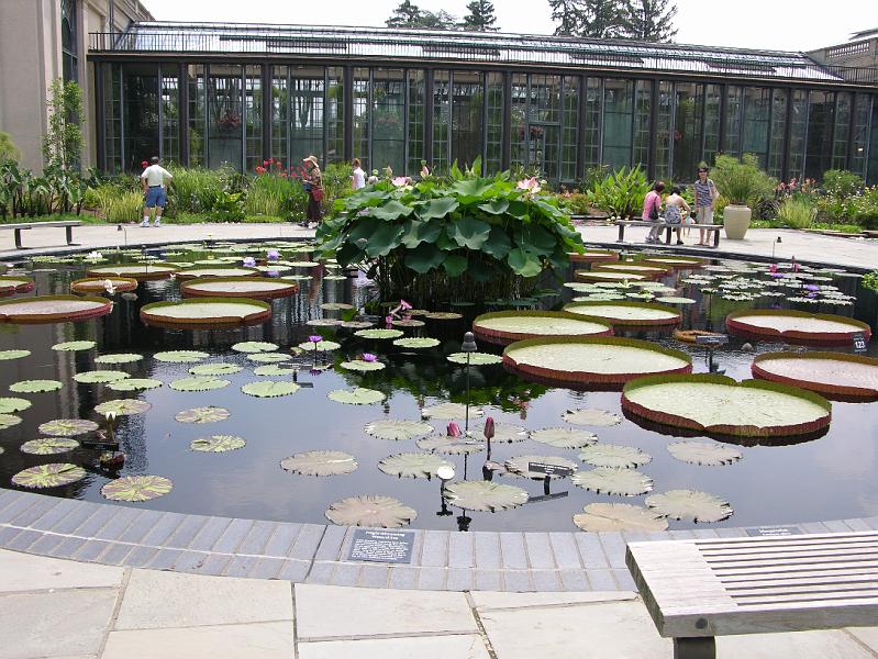 DSCN0502.JPG