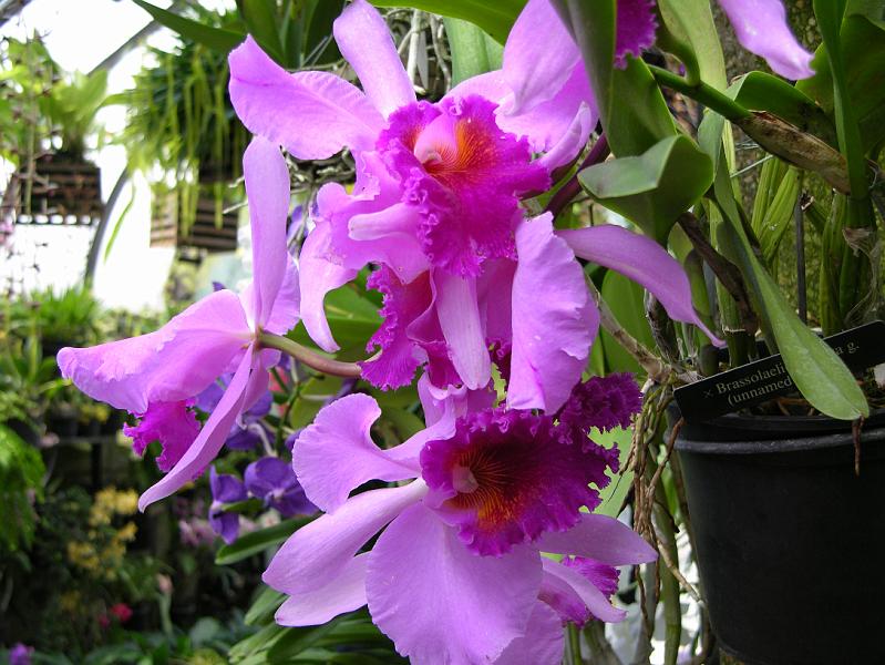 DSCN0516.JPG