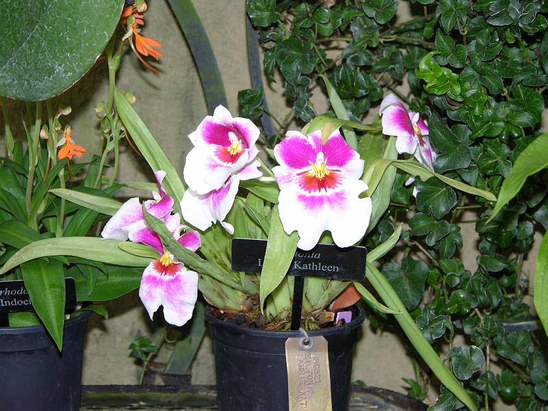 DSCN0524.JPG