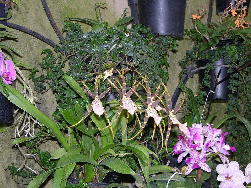 DSCN0528.JPG