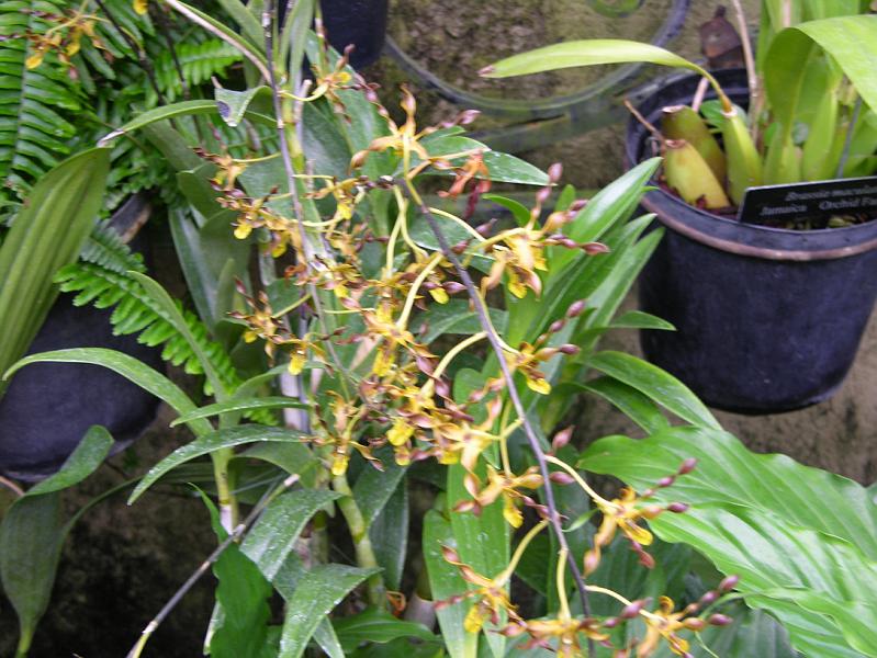 DSCN0533.JPG