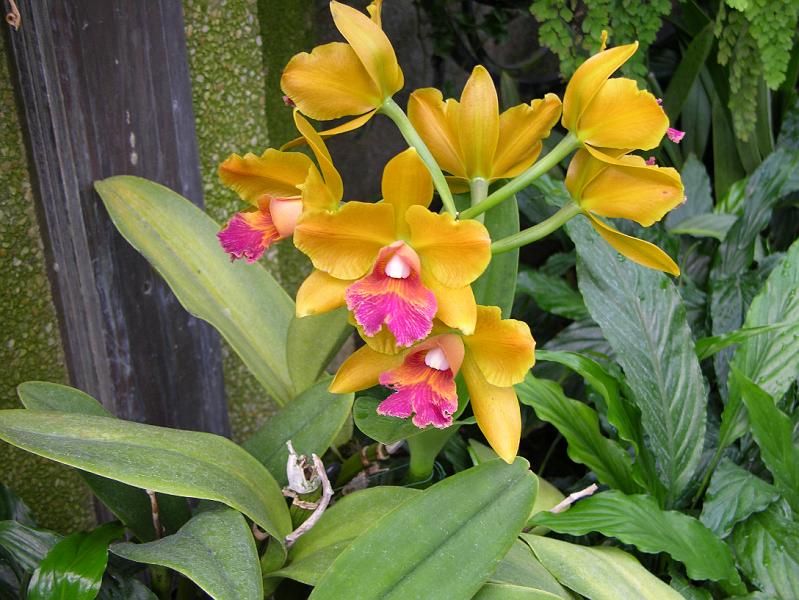 DSCN0535.JPG