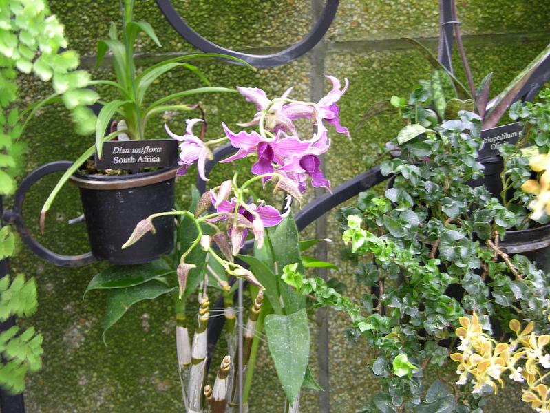 DSCN0538.JPG