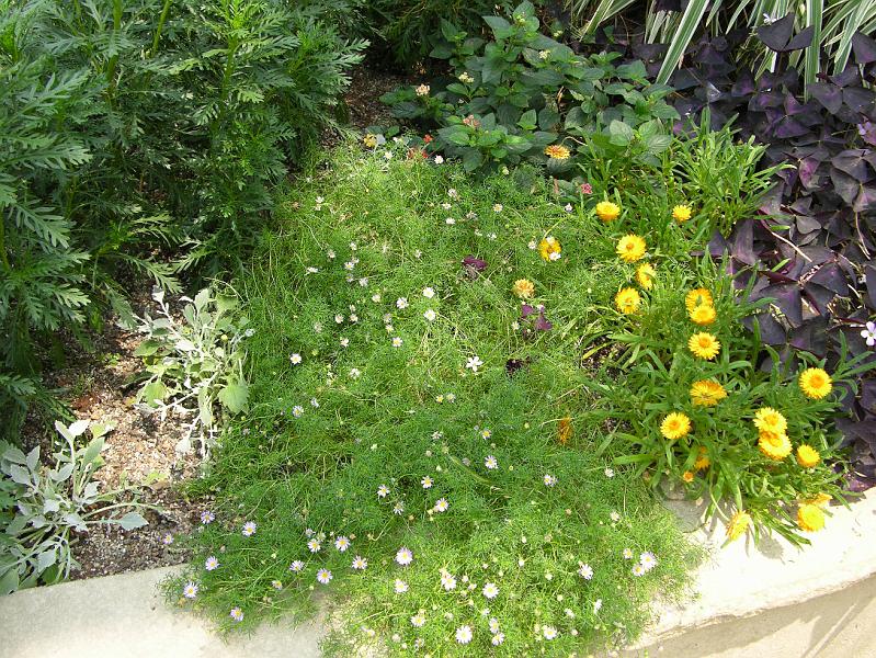 DSCN0542.JPG