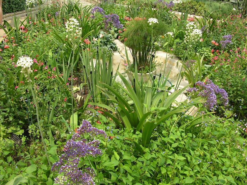 DSCN0543.JPG