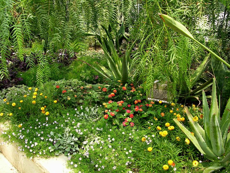 DSCN0549.JPG