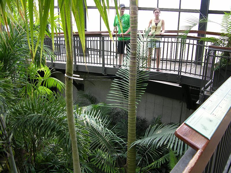 DSCN0559.JPG