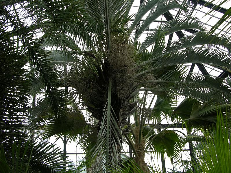 DSCN0567.JPG