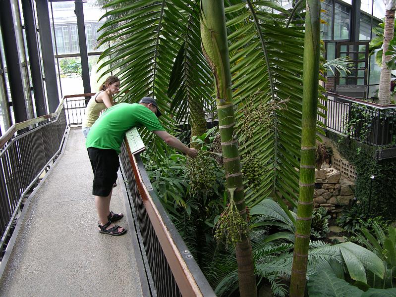 DSCN0571.JPG
