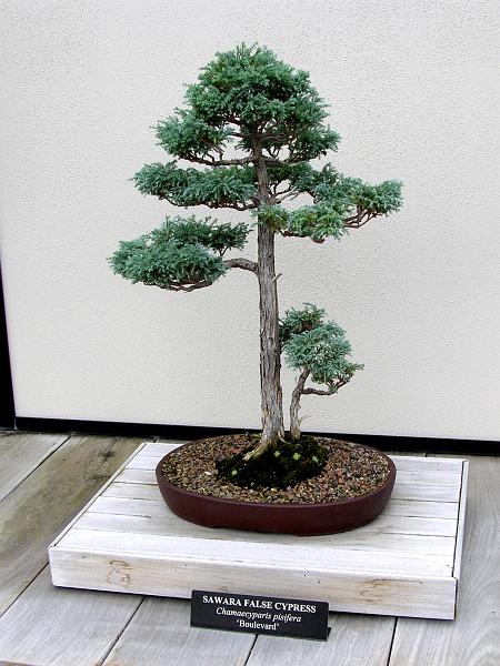 DSCN0580.JPG