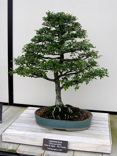 DSCN0587.JPG