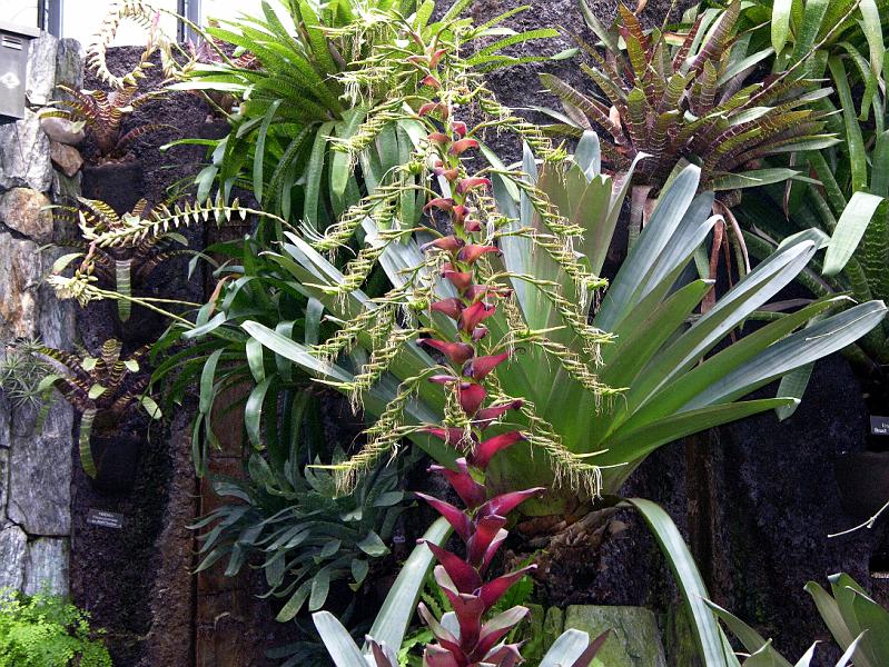 DSCN0598.JPG