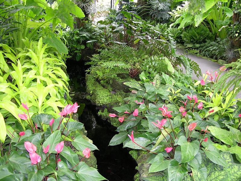 DSCN0616.JPG