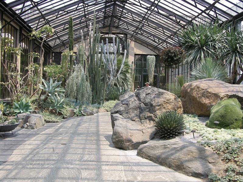DSCN0623.JPG