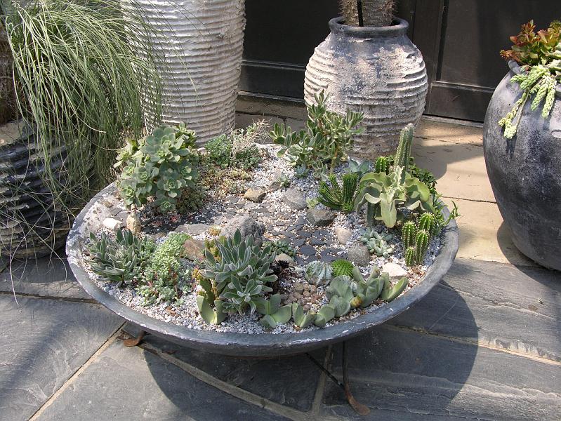 DSCN0628.JPG
