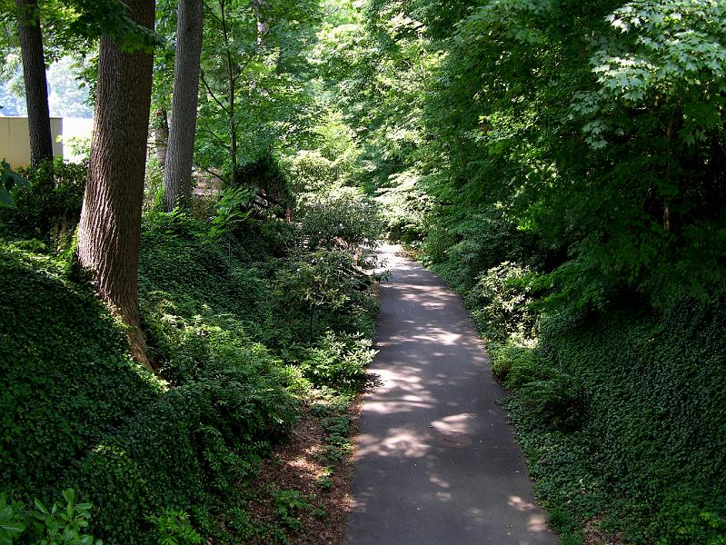 DSCN0651.JPG