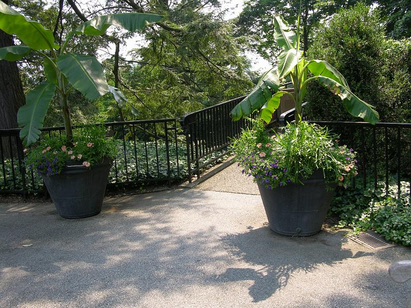 DSCN0653.JPG