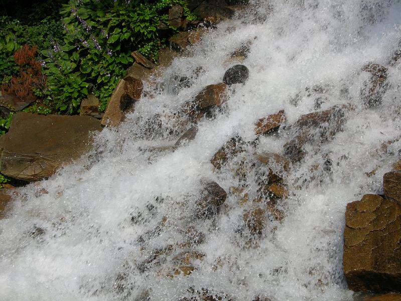 DSCN0703.JPG