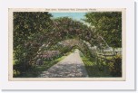 1929postcard054 * Rose Arbor, Confederate Park, Jacksonville, Florida (Aug 29, 1929) * 640 x 400 * (234KB)