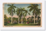 1938postcard011 * Royal Palms, Florida, Coconut Grove, Miami (1938) * 640 x 406 * (199KB)