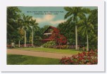 1940postcard090 * Royal Palm Lodge, Royal Palm State Park, Homestead, FL (Apr 14, 1940) * 640 x 413 * (223KB)